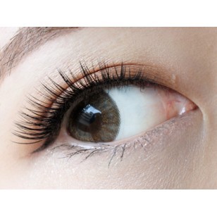 (EC1005)EverColor 1day Moisture &UV Silky Topaz 10片裝