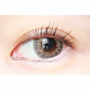 Akma Refit 3Color Gray(日拋)