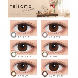 feliamo ShinyBrown日抛10片裝