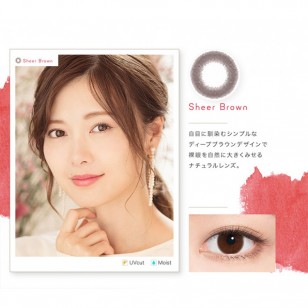 feliamo SheerBrown日抛10片裝