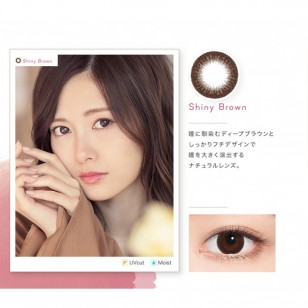 feliamo ShinyBrown日抛10片裝