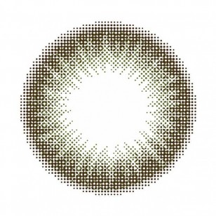 feliamo OliveBrown日抛10片裝