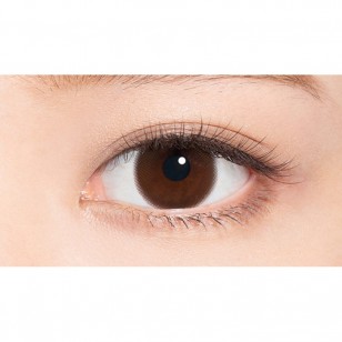 feliamo SheerBrown日抛10片裝