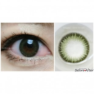 feliamo OliveBrown日抛10片裝