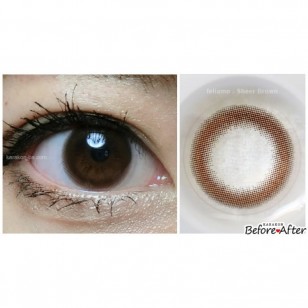 feliamo SheerBrown日抛10片裝