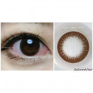 feliamo ShinyBrown日抛10片裝