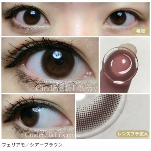 feliamo SheerBrown日抛10片裝