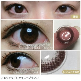 feliamo ShinyBrown日抛10片裝