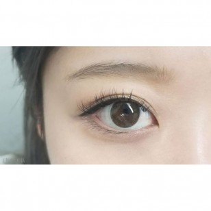 Minette 1Day LayerAlmond 10片装(日拋)