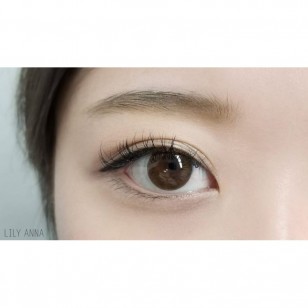 Minette 1Day LayerMarron 10片装(日拋)