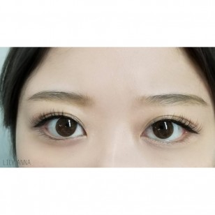 Minette 1Day LayerMarron 10片装(日拋)