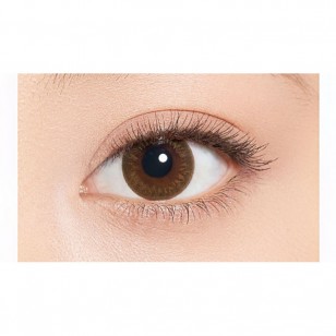 Minette 1Day LayerMarron 10片装(日拋)