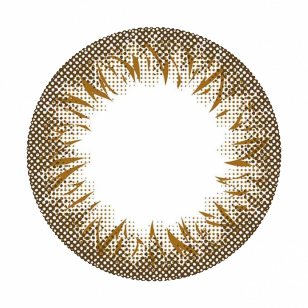 Minette 1Day LayerMarron 10片装(日拋)