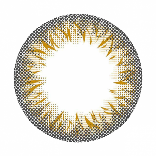 Minette 1Day LayerAlmond 10片装(日拋)