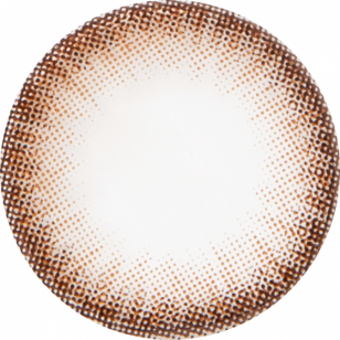 Anna Sui Dressy Brown(2week) Anna Sui Dressy Brown(2week)