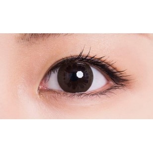 L-Con POP 1 Day Chocolat L-Con POP 1 Day Chocolat