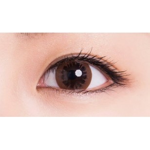 L-Con POP 1 Day Brown L-Con POP 1 Day Brown