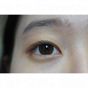 Ann 1 Day Brown 20片 (日拋)