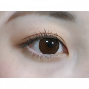 Ann 1 Day Choco 20片 (日拋)