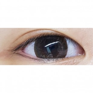 Ann 1 Day Choco 20片 (日拋)