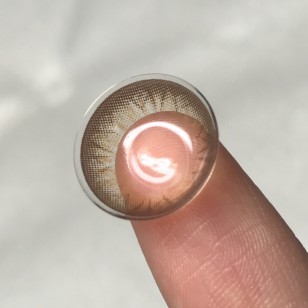 Ann 1 Day Brown 20片 (日拋)