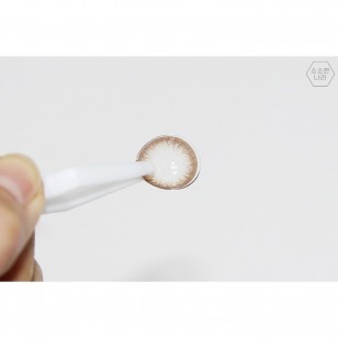 Ann 1 Day Brown 20片 (日拋)