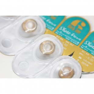 Rich Ann Shine Brown 6片 (日拋)