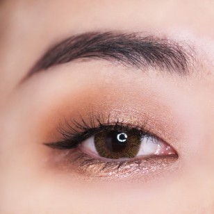 Rich Ann Shine Brown 6片 (日拋)