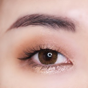 Rich Ann Shine Brown 6片 (日拋)