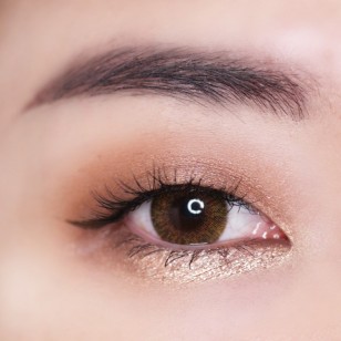 Rich Ann Shine Brown 6片 (日拋)