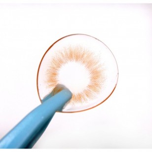 Rich Ann Natural Brown 6片 (日拋)