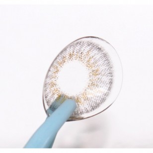 Rich Ann Shine Gray 6片 (日拋)