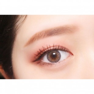 Rich Ann Shine Gray 6片 (日拋)