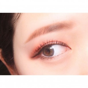 Rich Ann Shine Gray 6片 (日拋)