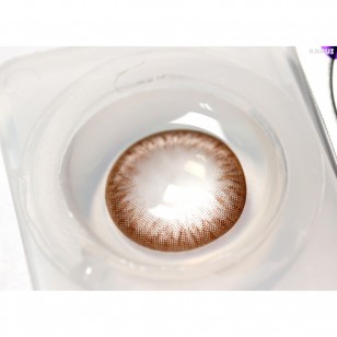 Ann 1 Day Choco 20片 (日拋)