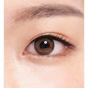 24/7 Diary Brown(日拋)