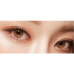 Angel French Brown(年拋)