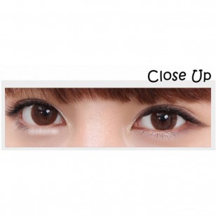 NEO Dali Chocolate IIII(N017) NEO Dali Chocolate IIII(N017)