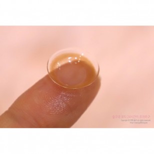 Honey U Brwon(月拋)