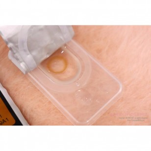 Honey U Brwon(月拋)