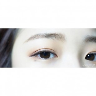 Ann Silian 10片/30片 (日拋)