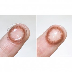 Ann Silian 10片/30片 (日拋)